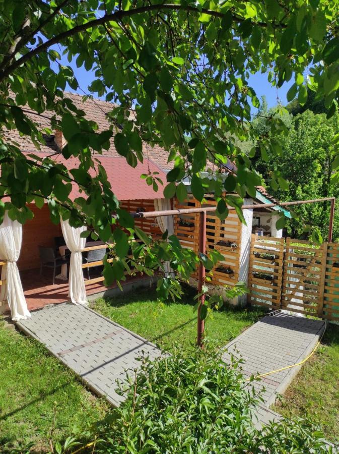 Gabi'S Home #2 Sighisoara Exterior photo